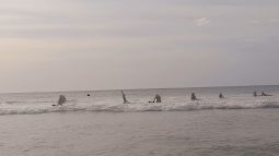 monticello_high_school_2025_1_20250328_1412402647