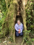 Reserva Monteverde Bosque Nuboso_1