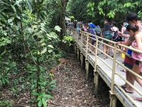 Vail Mountain School en Costa Rica_146