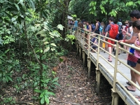 Vail Mountain School en Costa Rica_147