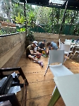 Voluntariado en un refugio animal _10