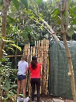 Voluntariado en un refugio animal _1