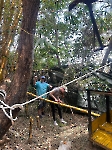 Voluntariado en un refugio animal _5