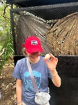 Voluntariado en un refugio animal _7