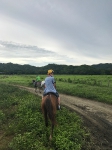 Horseback Riding_5