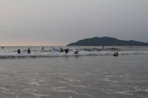 Tamarindo and Surf Lessons_41