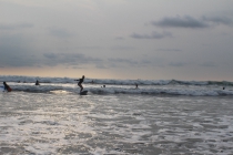 Tamarindo and Surf Lessons_58